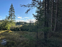 SunnivaR_20251017_68f2697d18d4b.jpg