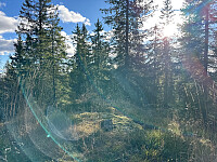 SunnivaR_20251017_68f269825237f.jpg