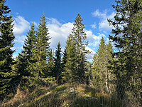 SunnivaR_20251017_68f2698413b58.jpg