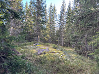 SunnivaR_20251017_68f26985e2b8d.jpg