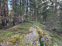 SunnivaR_20251017_68f26987c1b2f.jpg