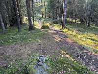 SunnivaR_20251017_68f269898d1be.jpg