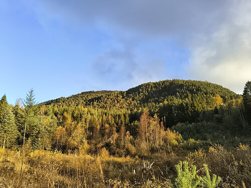 Kaldestadåsen. 