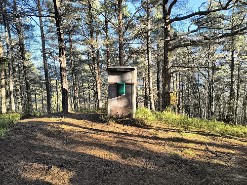 Toppen av Bogsnesåsen, 125 moh.