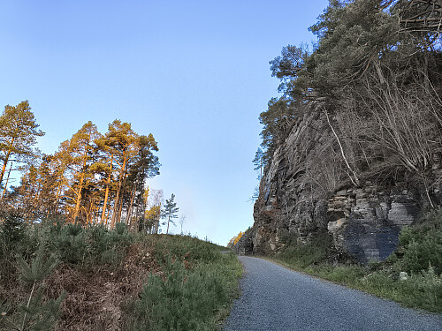 Grusvegen ved starten.