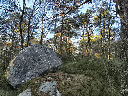Toppen av Randåsen, 373 moh.