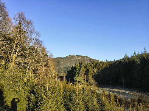 Utsyn mot Randåsen.
