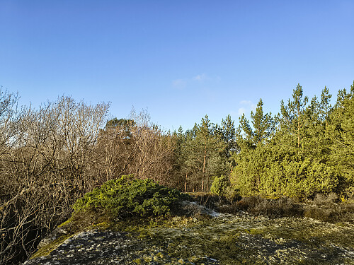Toppen av Skudefjellet, 57 moh.