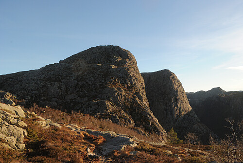Heiahornet og småsilhornet.
