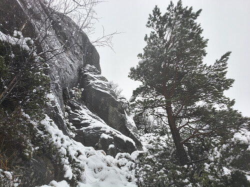 Ein kronglete og smal veg oppover.