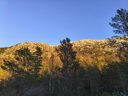 Opp denne veggen skal eg.