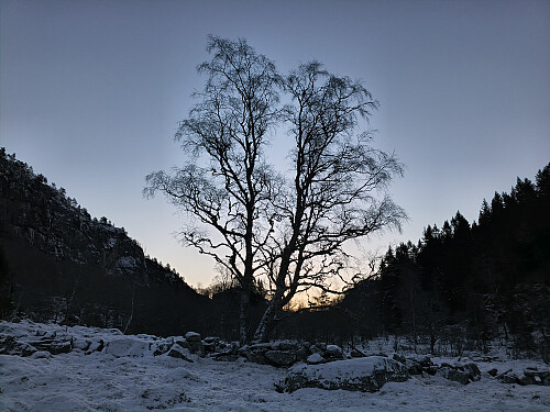 Eit nokså symmetrisk landskap. 