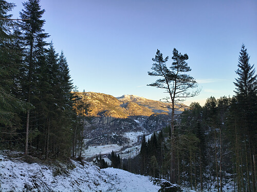 Ein dryge skogsveg, men til belønning flott utsyn mot Øksnanibba.