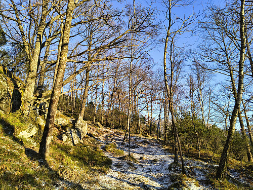 Staselig eddellauvskog pyntar Hjelmen.
