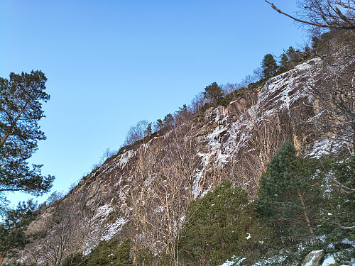 Oppforbi den bratte veggen kor trærna tittar fram skal eg.