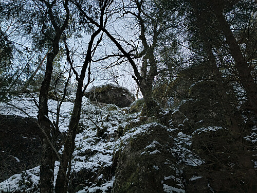 Kronglete og bratt nokså forventa veg mot den andre Trongaskar nuten.