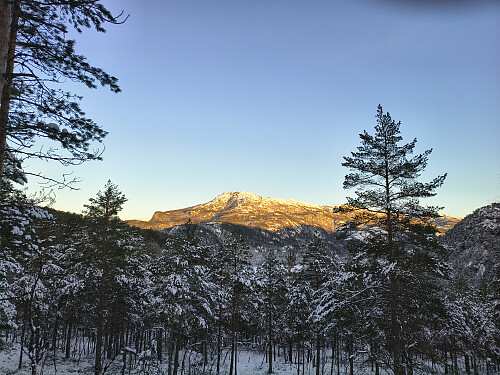 Høgt er ikkje Øksanibba, 760 moh. Men i slike tider med snau og kulde, liknar det på høgfjellet.
