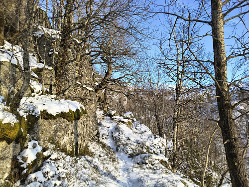 Flott sti mot Kolleåsen.