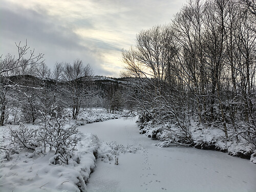 Den frosne elva fungerar nesten som ein motorveg i den hakkete myra.