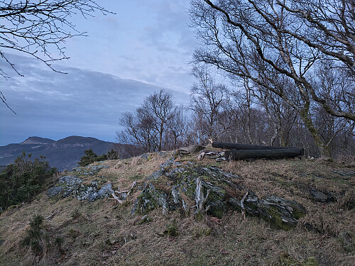 Toppen av Hauskefjellet, 274 moh.