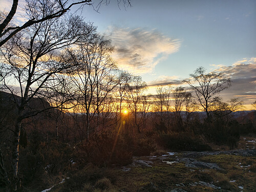 Skogen sin silhuett er flott i slik fargerik daggry.