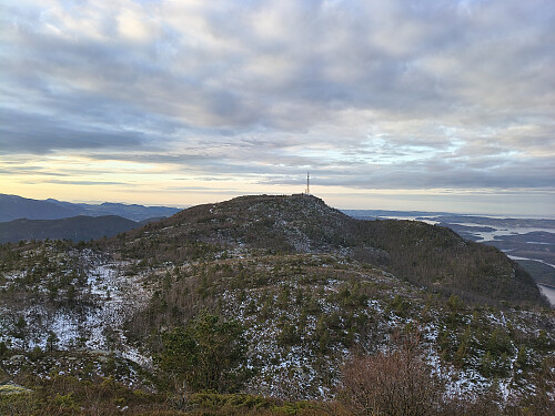 Høgaste i dag Lauvåsen.