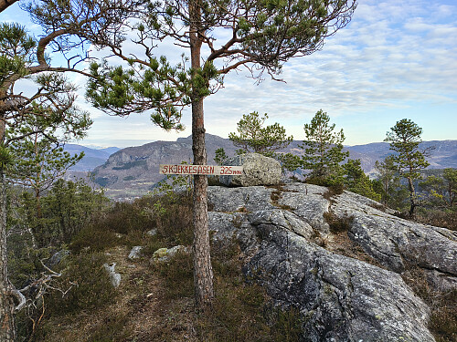 Toppen av Skjekkjeåsen, 325 moh.