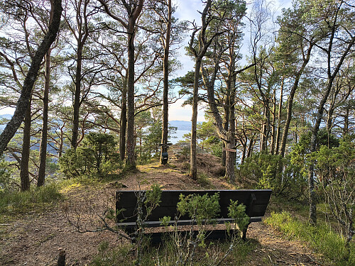 Toppen av Heståsen, 274 moh.