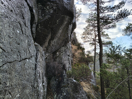 Kronglete og bratt opp ryggen til Skjekkjeåsen.