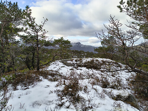 Traust her og på toppen av Middagsheia, 447 moh.