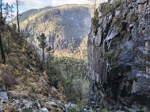 Trygg er den nok ikkje med lause og våte steinar i ei bratt ur. Men ein betre veg ned fant eg ikkje.