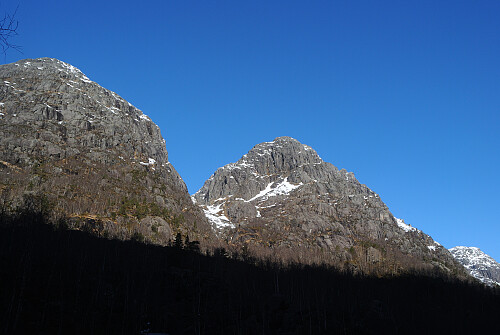Blomsterskardnuten stigg bratt opp mot himmelen.