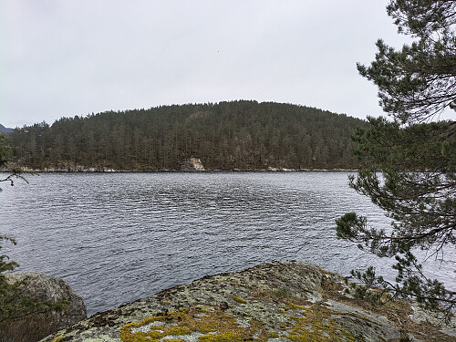 Blei bare ein øytopp kjølsvikskorpa, var kraftig straum i sundet. Og på heimvegen var det so kraftig at eg nesten blei dratt ut i det ope hav.
