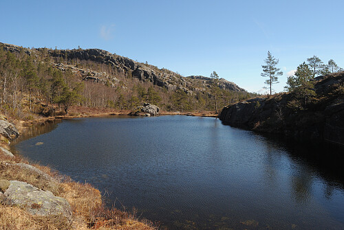 I denne tjødna såg eg ein salamander. Er visst salamanderkoloniar i tjødnene ved Skoddbraudfjellet.