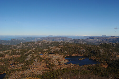 Mykje myr og furuskog i området.
