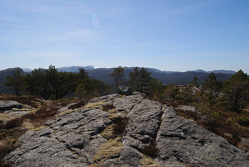 Toppen av Svadbergfjellet, 460 moh.