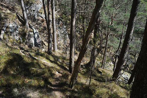 Heldigvis fanst det ein sti ned til Steinskarddalen.