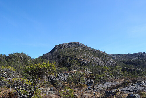 Nora Størnafjellet.