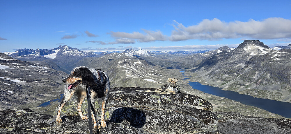 På ryggen på vei opp mot toppen. Varden indikerer fint sted for å slippe seg nedover. 