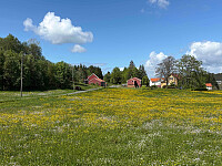 tropd_20260527_6a16f203368f3.jpg