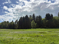 tropd_20260527_6a16f2033ea1b.jpg