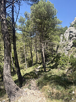 tropd_20260605_6a232ac11a4a7.jpeg