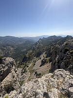 tropd_20260605_6a232acae2b9a.jpeg