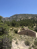 tropd_20260608_6a26e2ec53dd3.jpeg