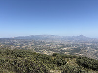 tropd_20260608_6a26e2f2278cb.jpeg