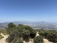 tropd_20260608_6a26e2f46c50c.jpeg