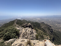 tropd_20260608_6a26e2f7b7c80.jpeg