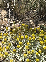 tropd_20260608_6a26e2f83d372.jpeg