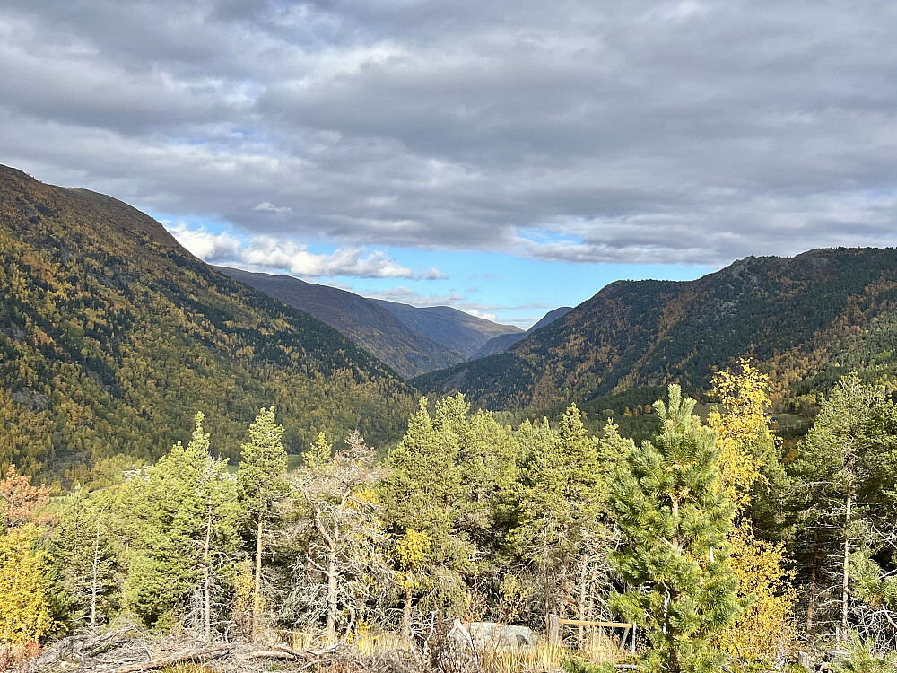 Bøverdalen