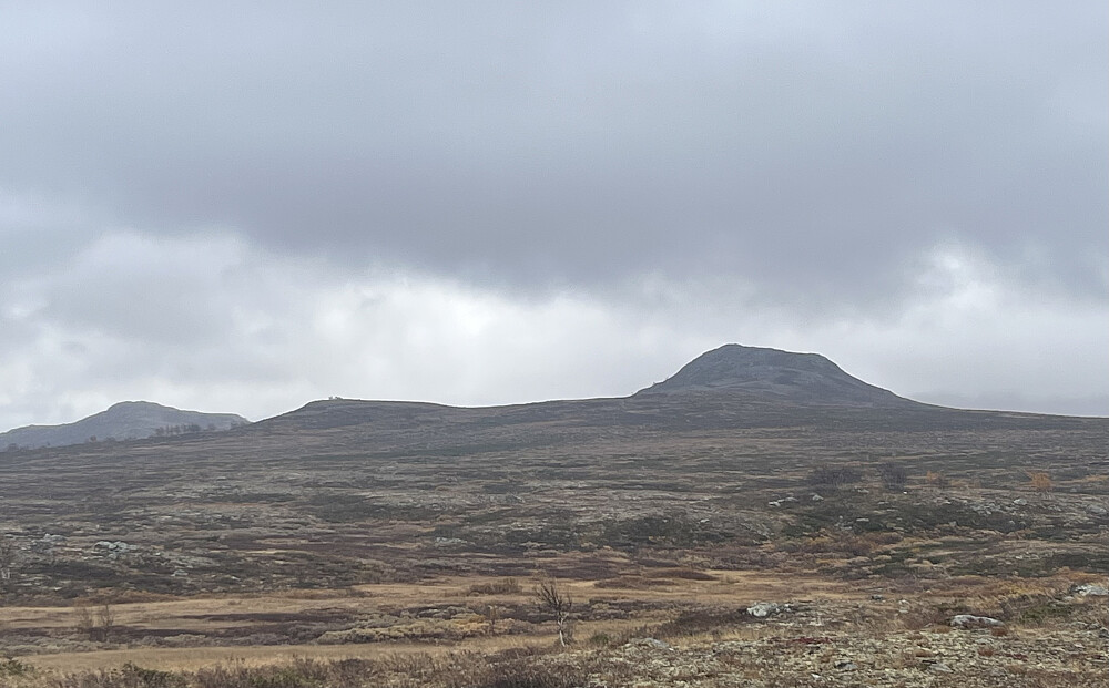 Keisaren